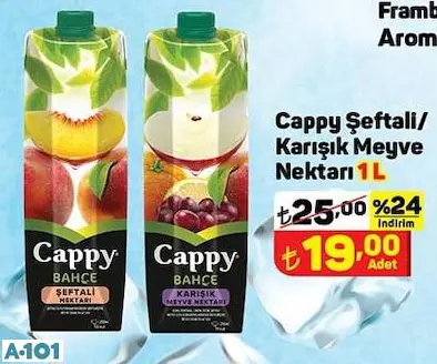 CAPPY ŞEFTALİ NEKTARI